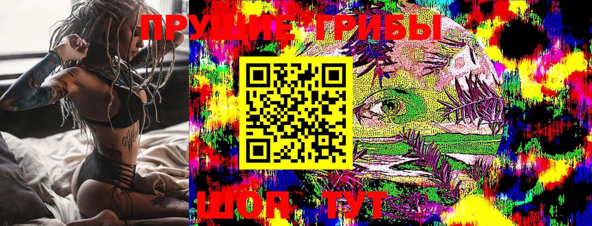 Псилоцибиновые грибы Cubensis Хасавюрт