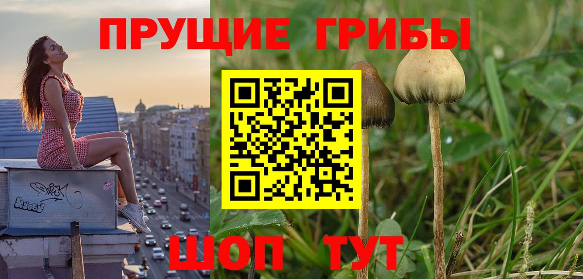 Хасавюрт  Галлюциногенные грибы Magic Shrooms  Вход с VPN 