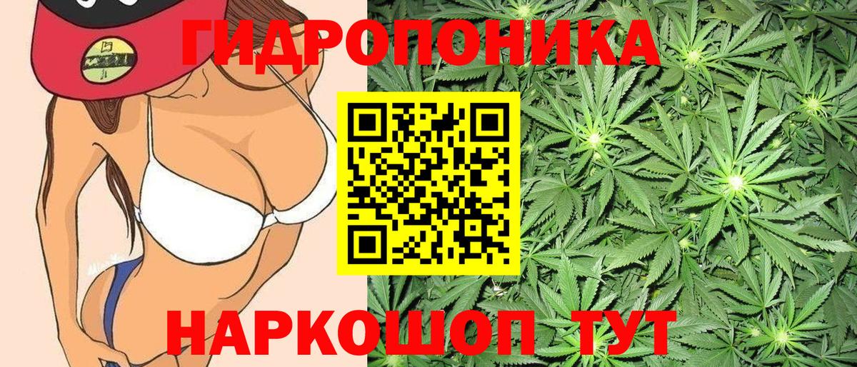 Шишки марихуана LSD WEED Хасавюрт
